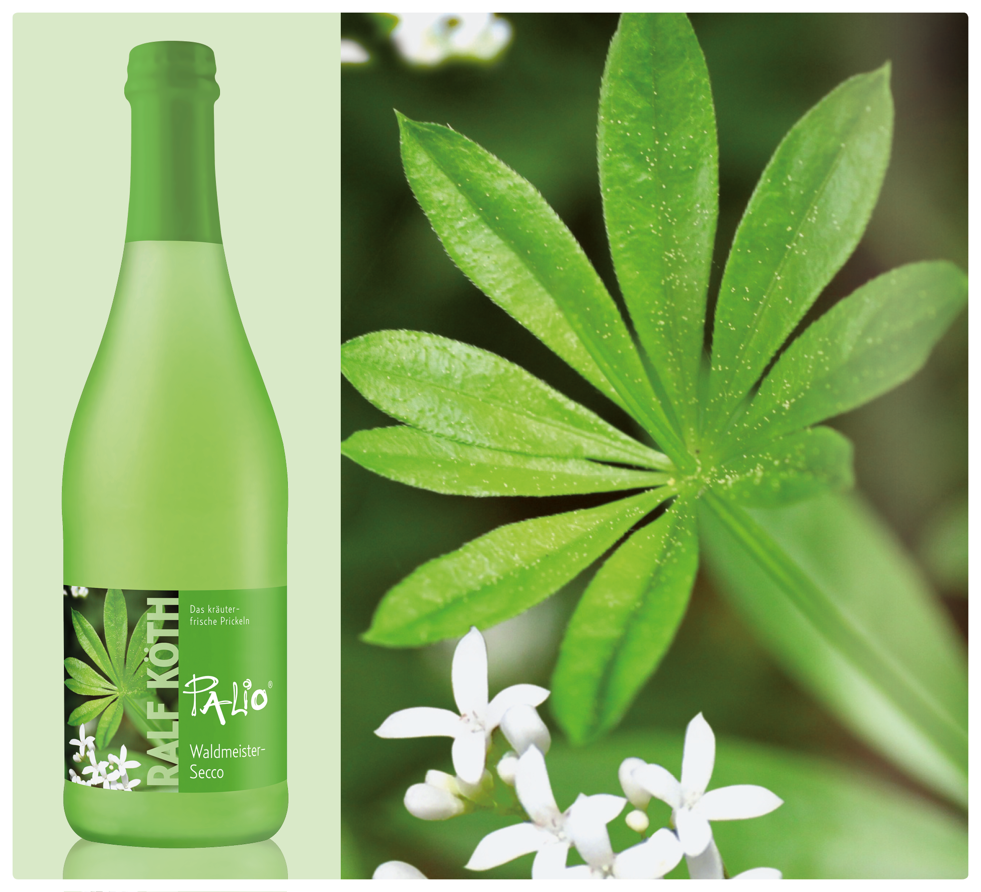 Waldmeister - Secco Waldmeister - Secco