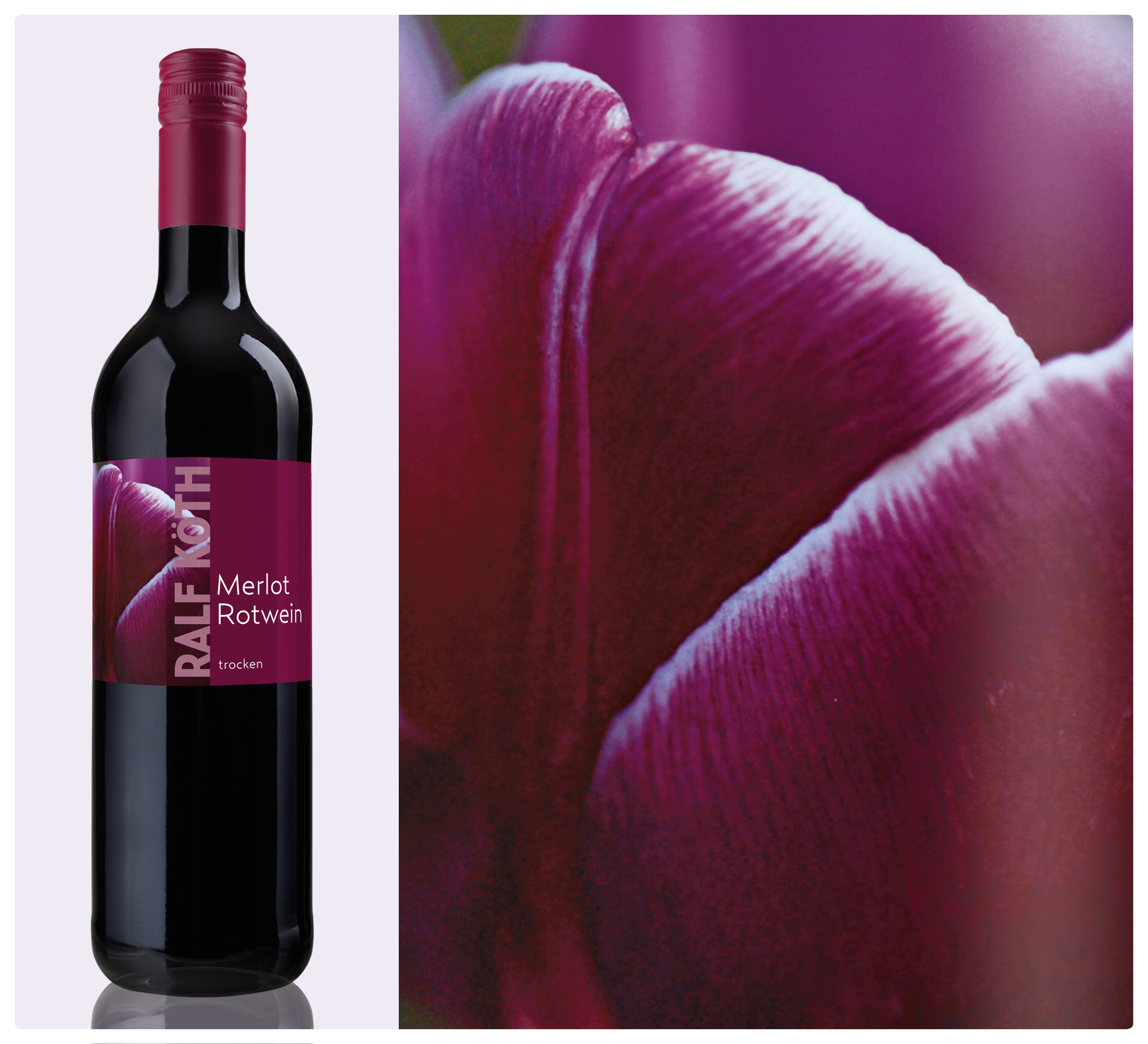Merlot Rotwein Merlot Rotwein