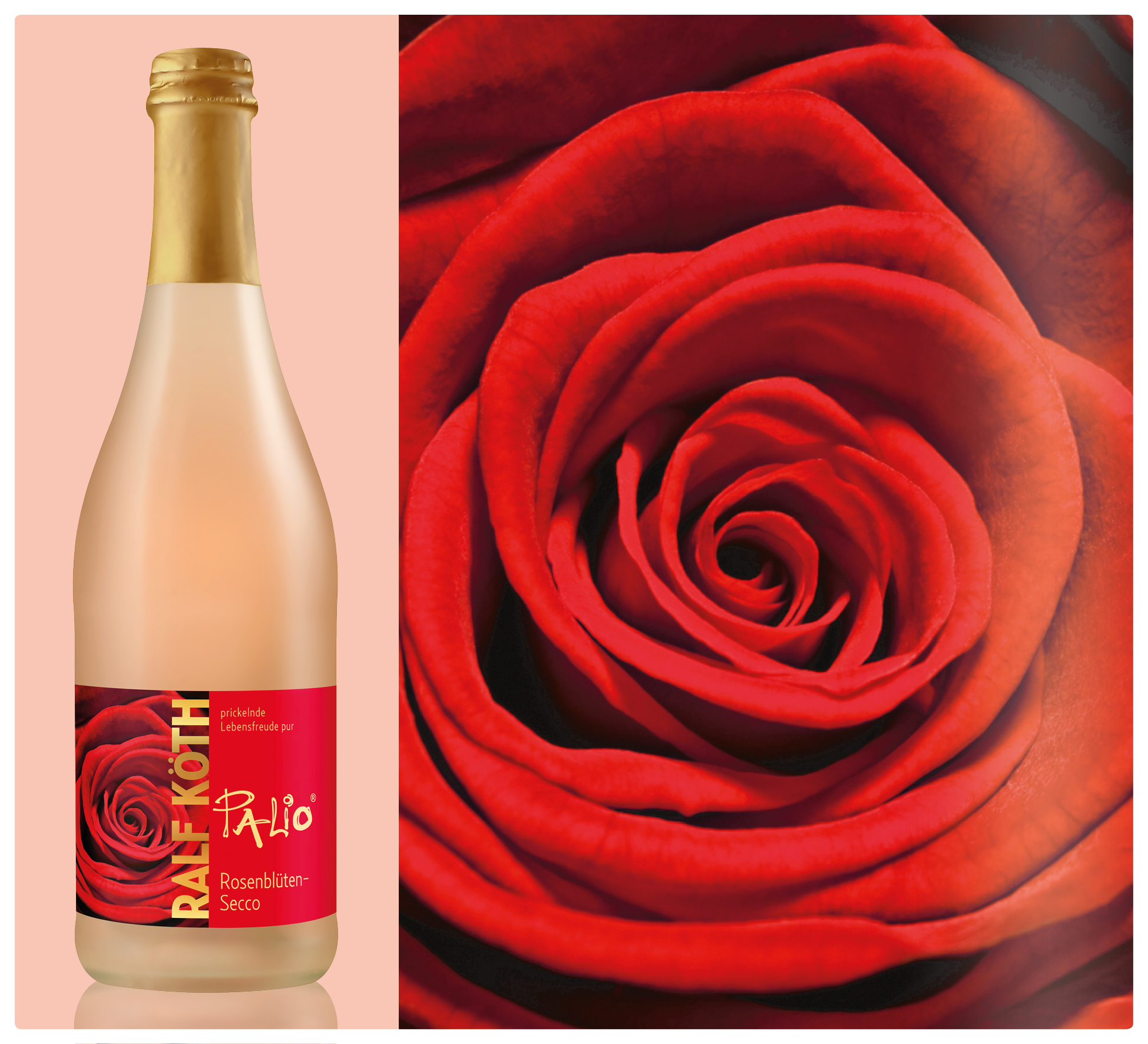 Rosenblüten - Secco