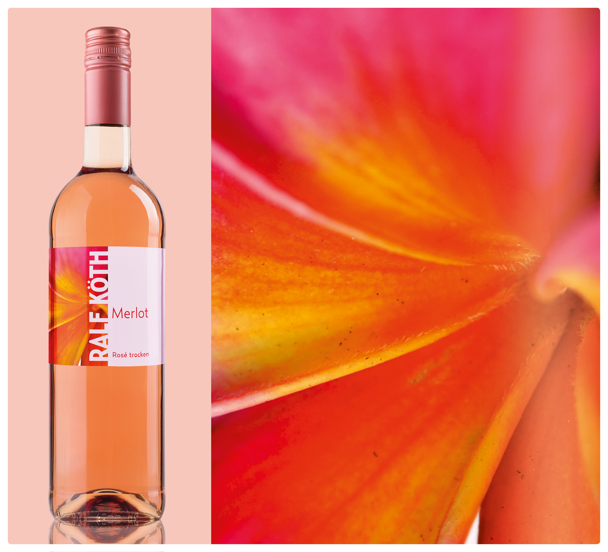 Merlot Rosé Merlot Rosé
