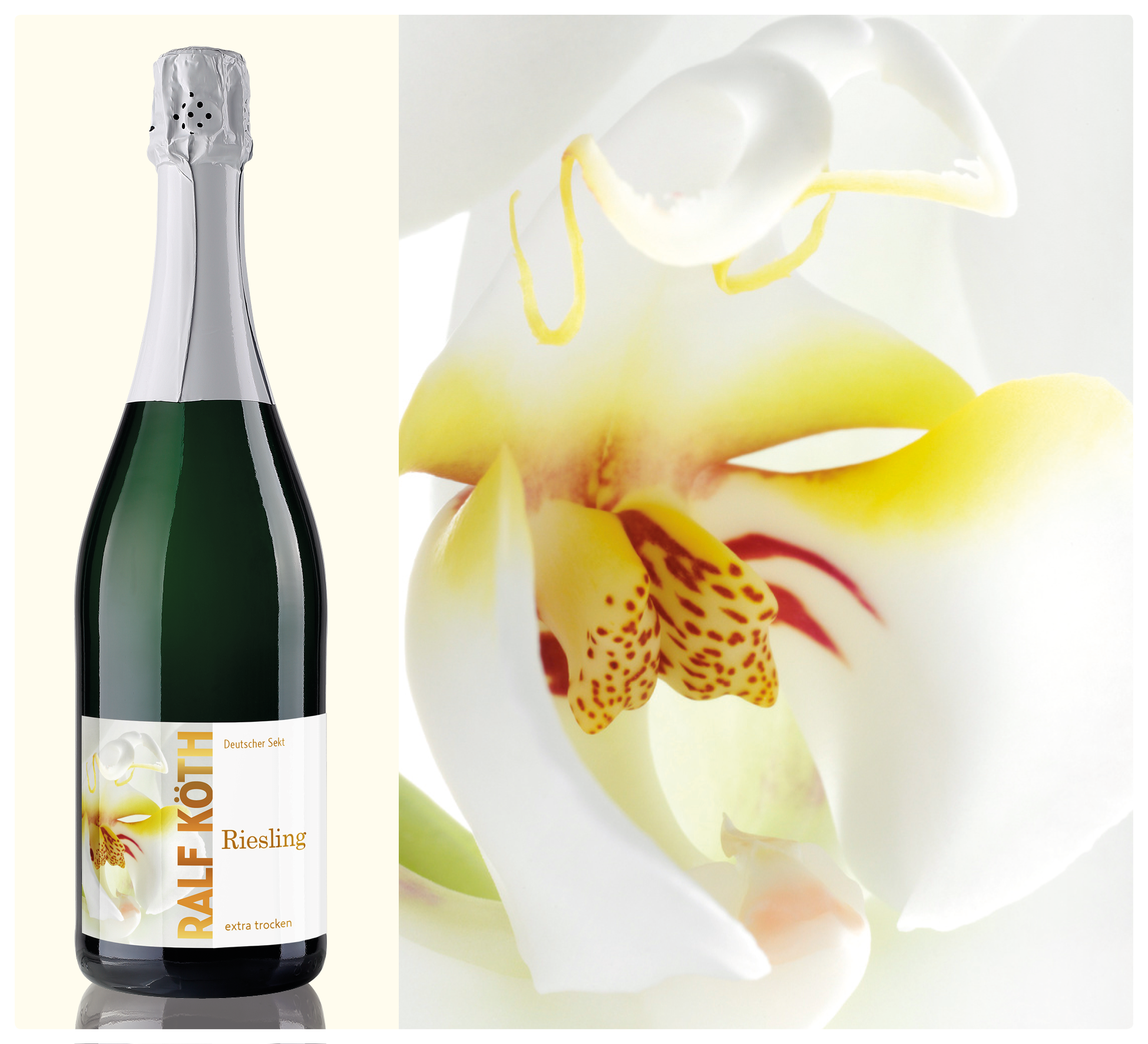 Riesling Sekt Riesling Sekt