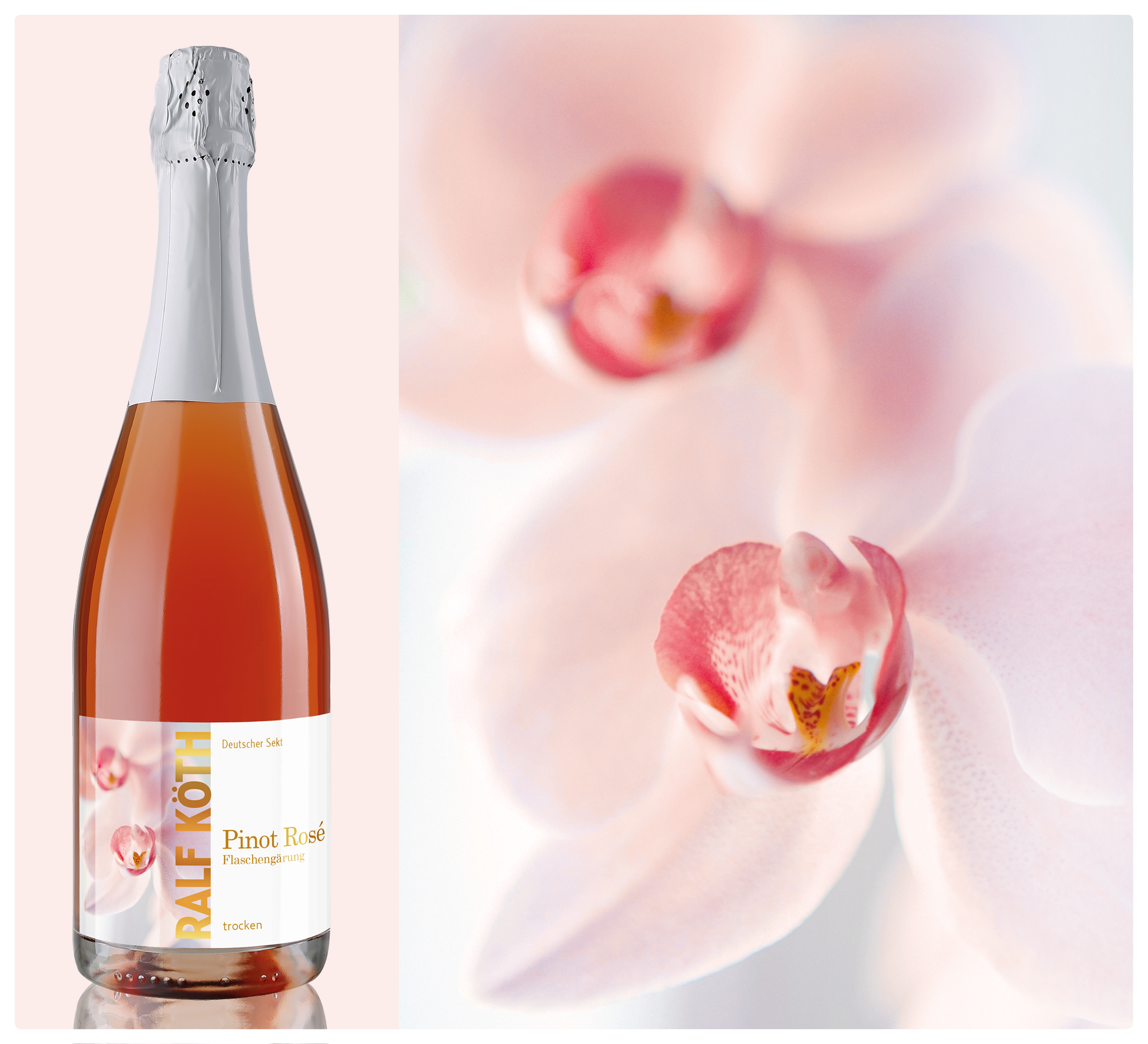 Pinot Rosé Sekt