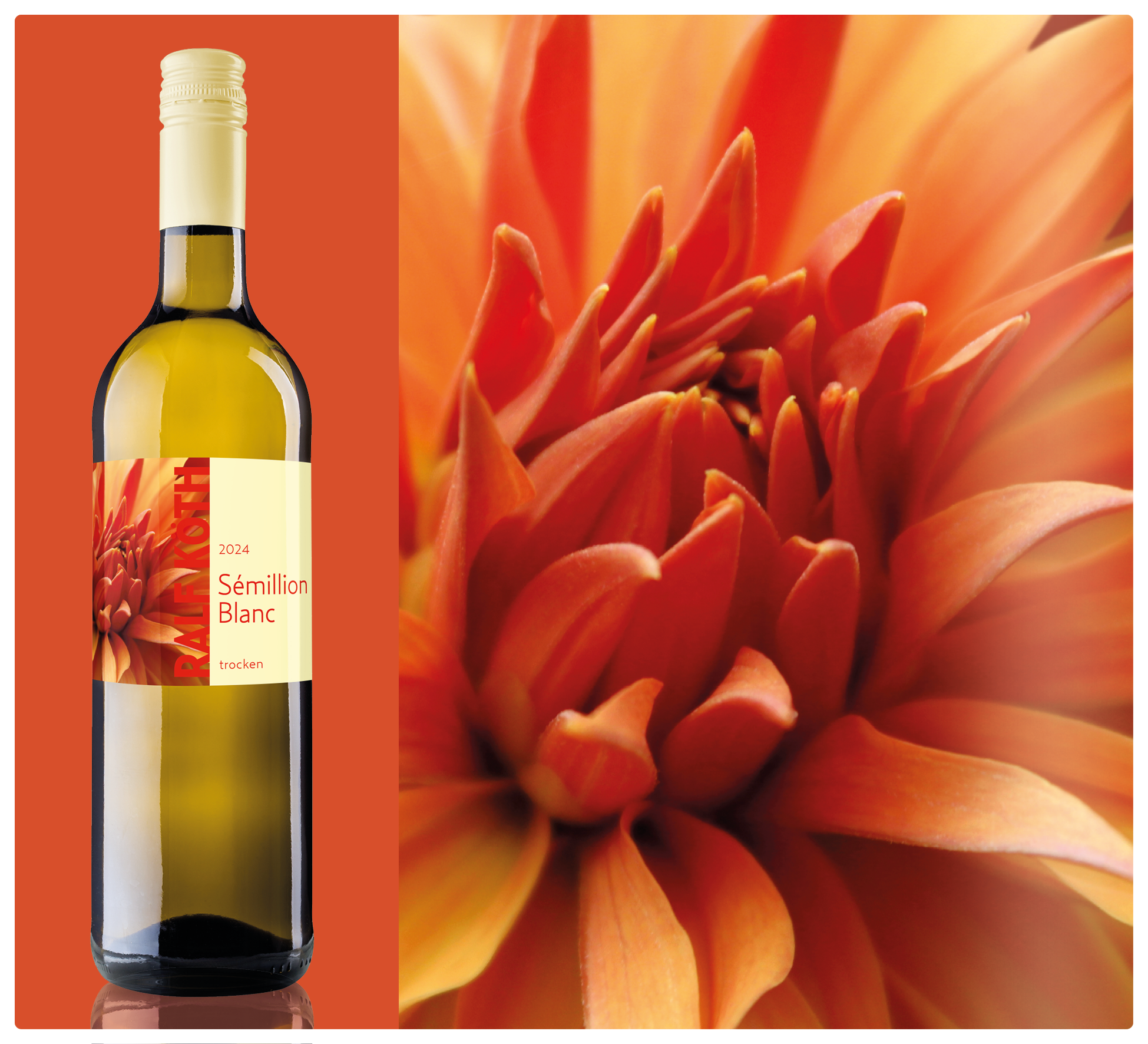 Sémillon Blanc Sémillon Blanc