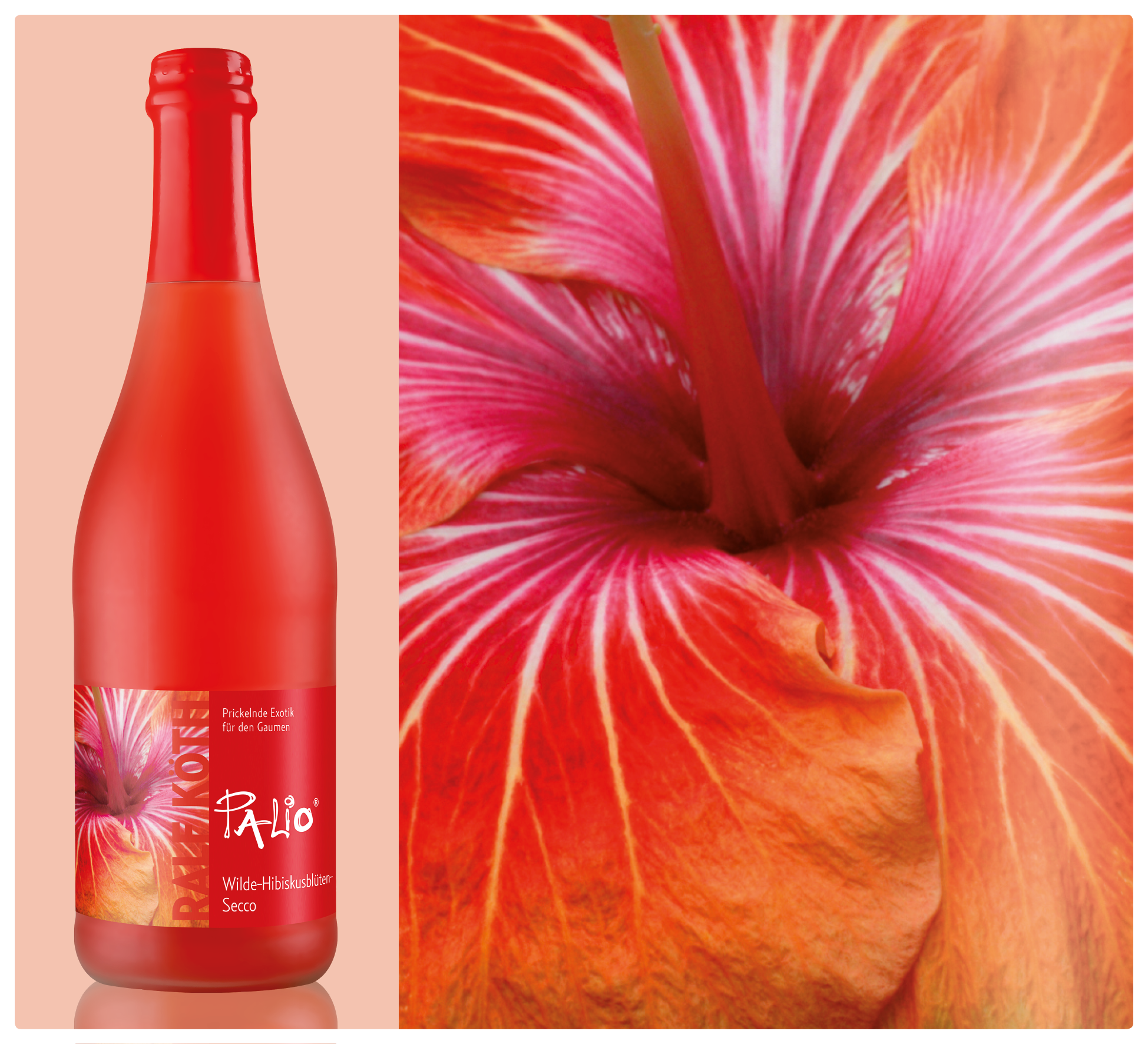 Wilde Hibiskusblüten - Secco